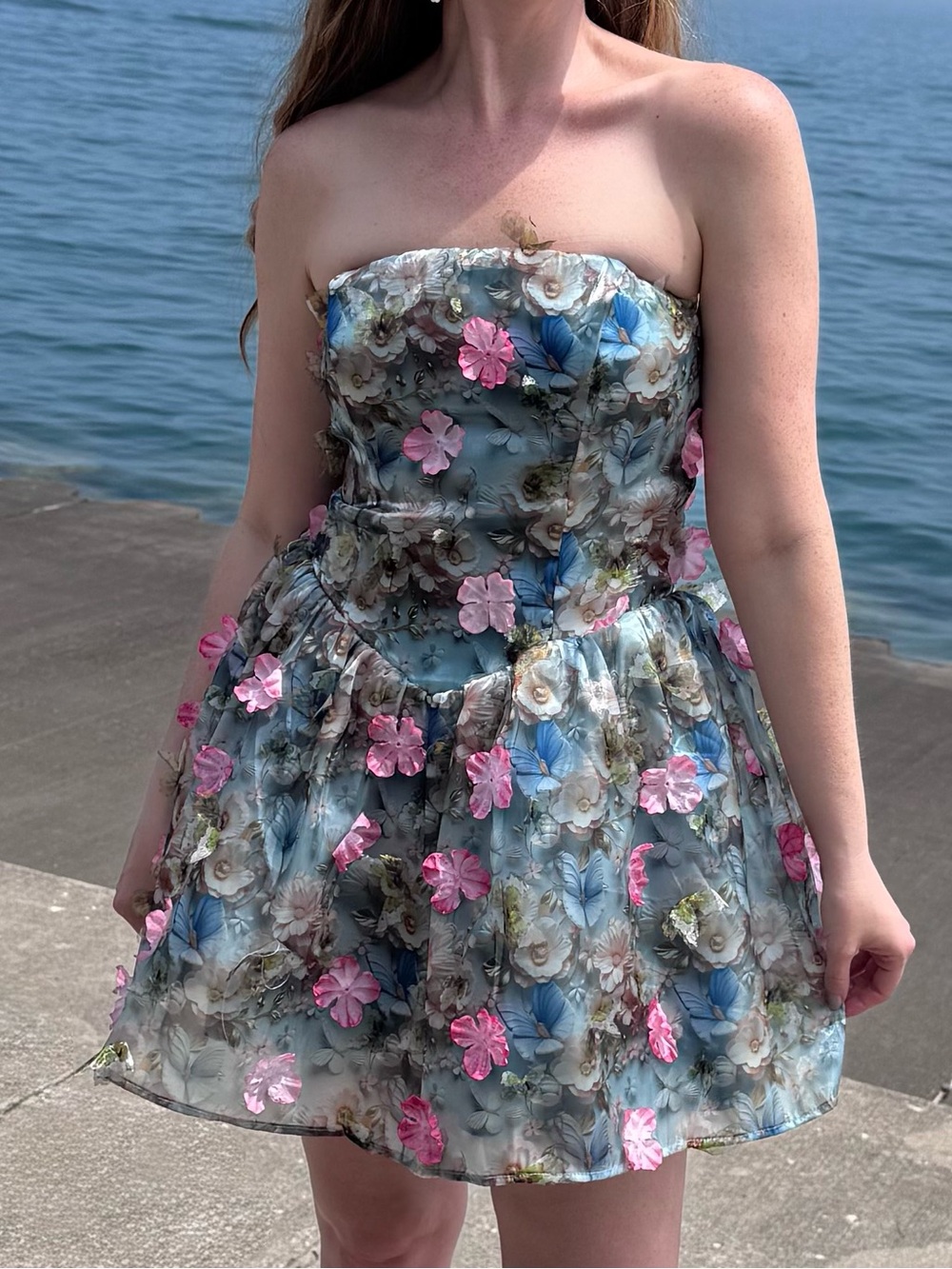Betsy Johnson 3D Butterfly Floral Mini Dress Size Small